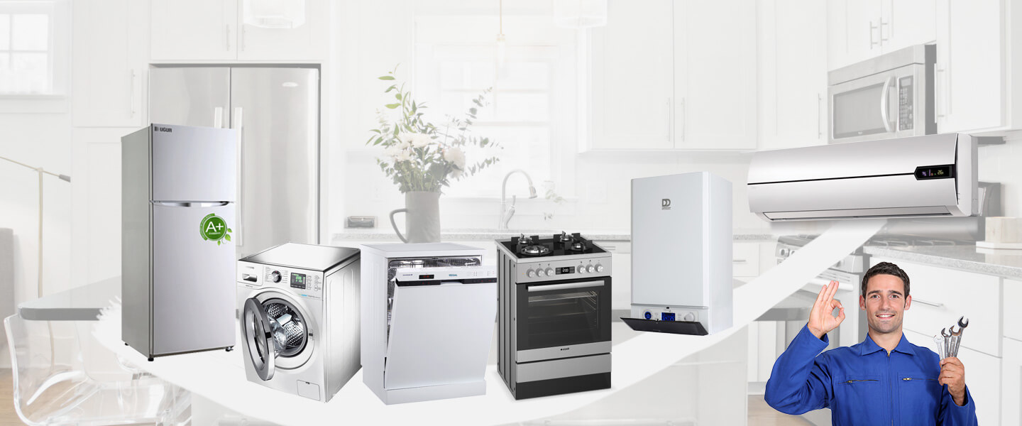 Koçarlı Electrolux Servisi